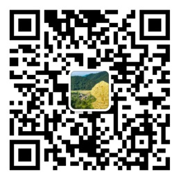 神彩争霸旧版在线登录